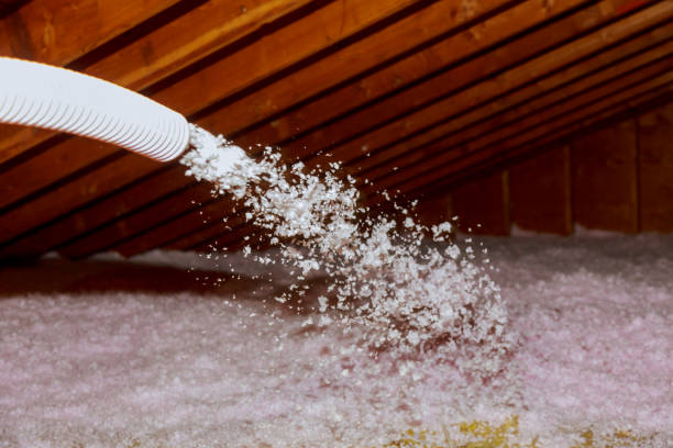 Best Fiberglass Insulation in Pine Prairie, LA