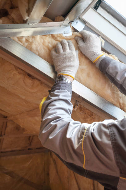 Best Cellulose Insulation in Pine Prairie, LA