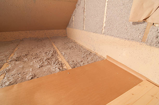Best Eco-Friendly Insulation in Pine Prairie, LA