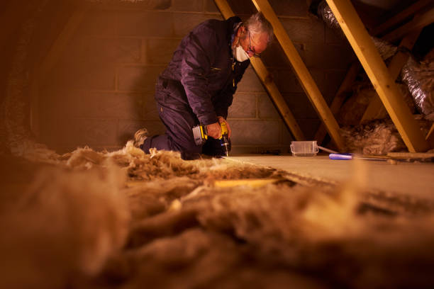 Best Commercial Insulation in Pine Prairie, LA